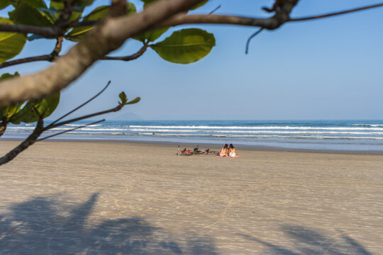 Duas garotas sentadas na areia da praia conversando. Paisagem de praia incluindo plantas e sombras. Amigas conversando ao ar livre. 