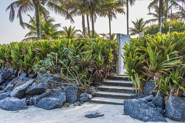 imagem de uma escada de concreto na praia cercada por plantas