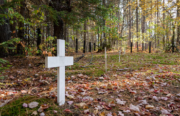 White wooden crosses in the woods