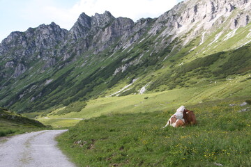 steiermark