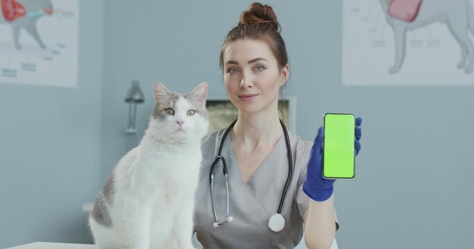 Veterinarian sitting in hospital stroking cat and showing greenscrean of phone. Girl in medical suit with stethoscope, blue gloves holding smartphone. Vertical screen. Concept of pets care, veterinary