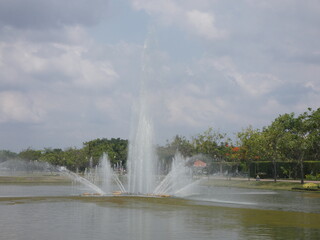 Water and trees in the park