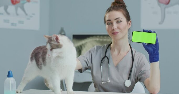Veterinarian sitting in hospital stroking cat and showing greenscrean of phone. Girl in medical suit with stethoscope, blue gloves holding smartphone. Horizontal screen. Concept pets care, veterinary.