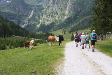 Obraz premium steiermark