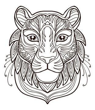 Tigre coloring vector