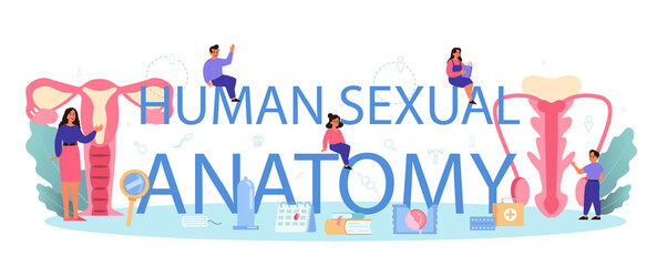 Sexual anatomy typographic header. Sexual health lesson for young