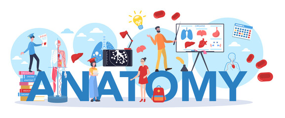 Anatomy school subject set. Internal human organ studying. Anatomy