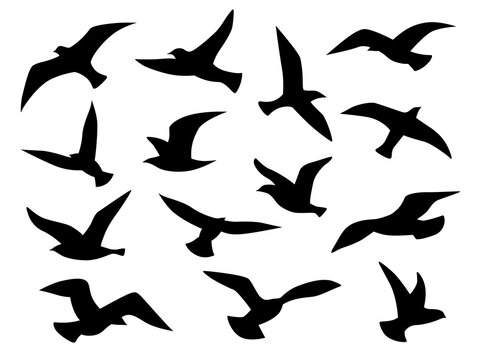 Bird silhouettes. Flying birds flock, black drawing flight raven tattoo template, monochrome animal wild life migration vector set