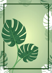 tropical palm leaf wallpaper