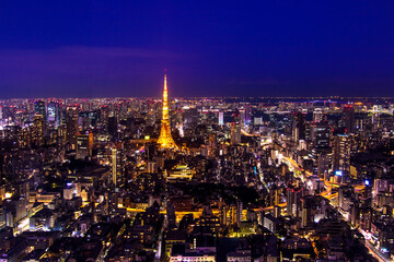 Fototapeta na wymiar night view of Tokyo city