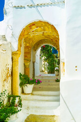 Fototapety  Przytulne stare podwórko z kwiatami w doniczkach, Sidi Bou Said, Tunezja