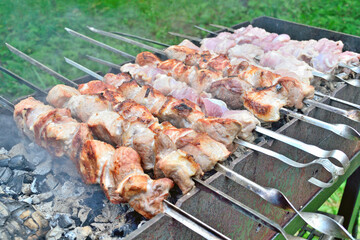 picnic with barbecue in nature