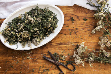 collection of herbs, dried yarrow on a wooden brown background, kitchen board,