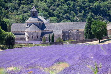 Plakat provence countries lavender fields and sunflowers region of france