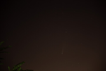 stars and stars in the sky comet Neowise