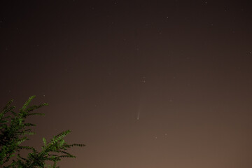 stars and stars in the sky comet Neowise