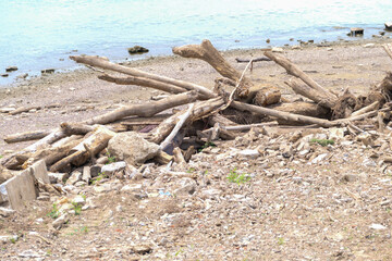 Driftwood on the shore of the Ohio River