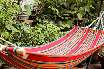 hammock in the garden