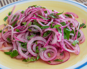 Plate of colorful magenta-colored criolla, consisting of red onion slices and green cilantro.. 