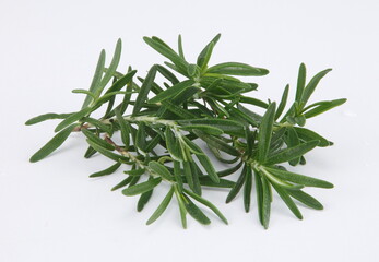 Rosemary is an herb. It is native to the Mediterranean region but is now grown worldwide. ... In foods, rosemary is used as a spice.