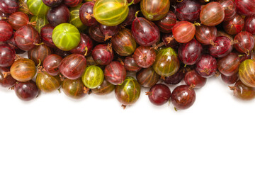 Gooseberry isolated on white background.