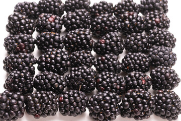 Tasty blackberry in a row isolated on white