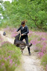 Naklejka na ściany i meble Jeune femme qui joue avec un chien noir sur un chemin de fleur en forêt - nature aventure campagne 