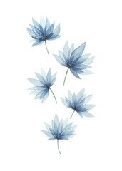 Watercolor indigo blue beautiful flowers, Hand drawn illustration isolated on white