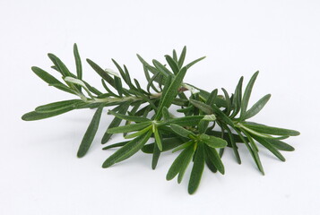 Rosemary is an herb. It is native to the Mediterranean region but is now grown worldwide. ... In foods, rosemary is used as a spice.