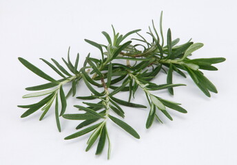 Rosemary is an herb. It is native to the Mediterranean region but is now grown worldwide. ... In foods, rosemary is used as a spice.