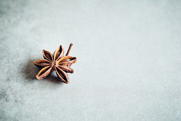 Single star anise on a light blue surface