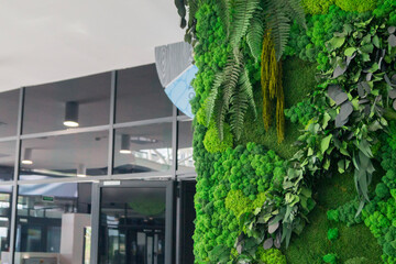 decorative moss wall in a large office