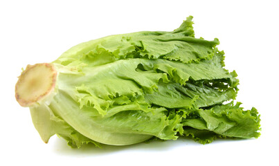 lettuce salad, fragment on a white background