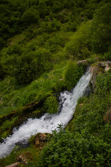 waterfall in the forest