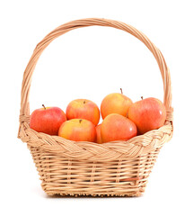 Apples in the basket