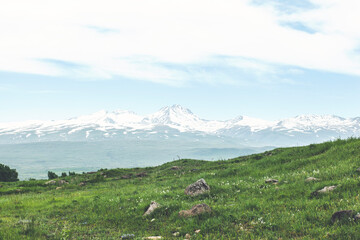 Fototapeta na wymiar green mountain meadow with mountain range in the background