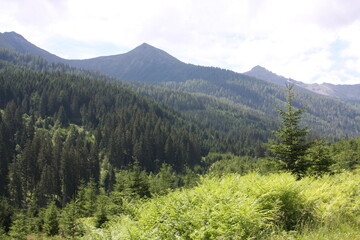 Obraz premium steiermark