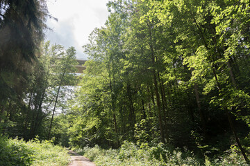 Fototapeta premium Teufelstalbrücke Autobahn A4