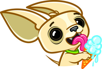 Funny Chihuahua dog emotions