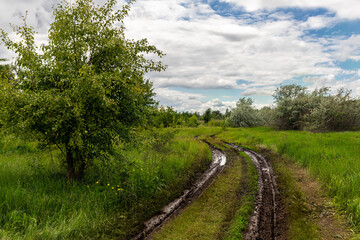 Scenic wet after rain dirt muddy road through trees and green grass field meadows against blue sly background. Russian rural countryside rustic village way. Wild unpaved path in summer steppe