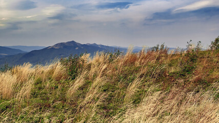 Autumn landscape in Bieszczady Mountains with golden grass in foreground © Piotr Gdula