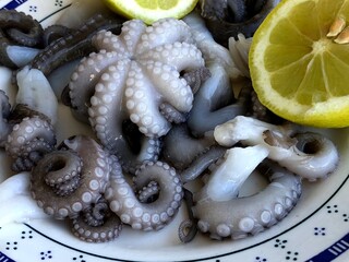 Fresh raw octopus from Bari, Puglia © Sante