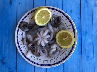 Fresh raw octopus from Bari, Puglia © Sante