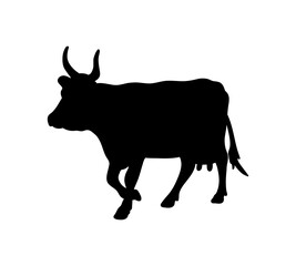 Silhouette of a cow. Cattle. Circuit. Farm. Bull. Black and white drawing by hand.