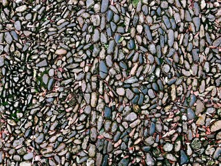 Mosaico de Pedras - Mosaic of stones