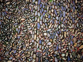 Mosaico de Pedras - Mosaic of stones
