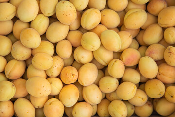 fresh ripe yellow apricot close up, apricot background