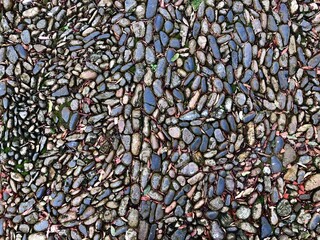 Mosaico de Pedras - Mosaic of stones