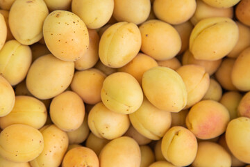 fresh ripe yellow apricot close up, apricot background
