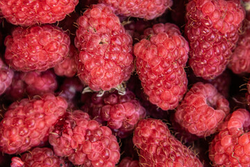 fresh ripe juicy raspberries close up